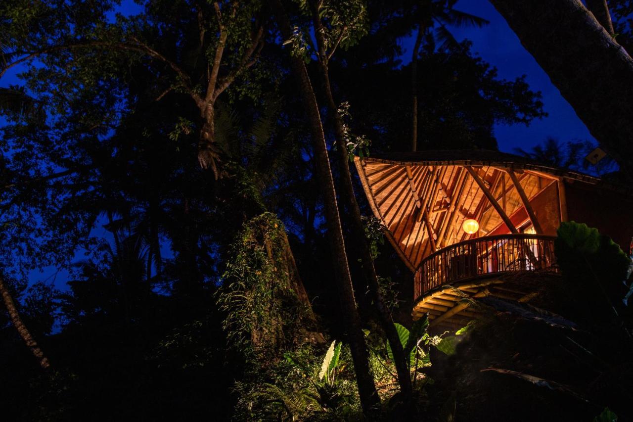 Lodge Bamboo Turtles Ubud