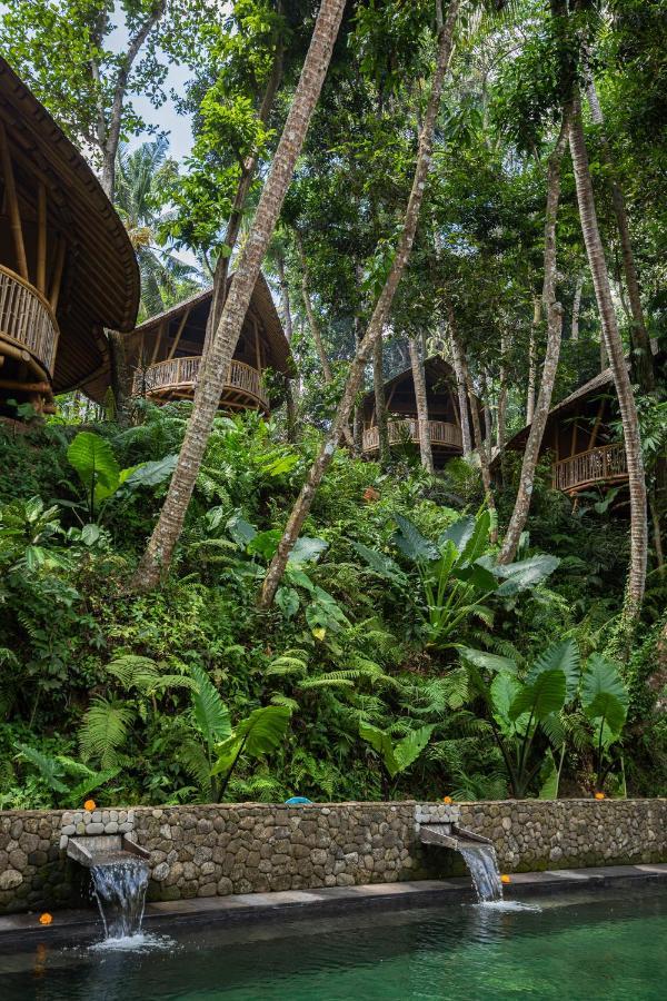 Lodge Bamboo Turtles Ubud