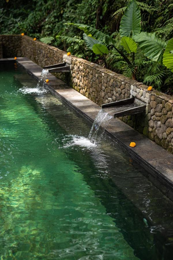 Lodge Bamboo Turtles Ubud