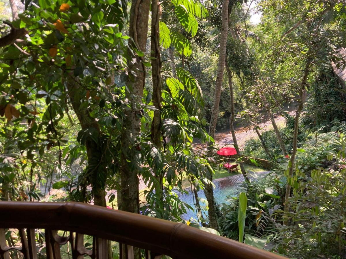 Bamboo Turtles Lodge Ubud