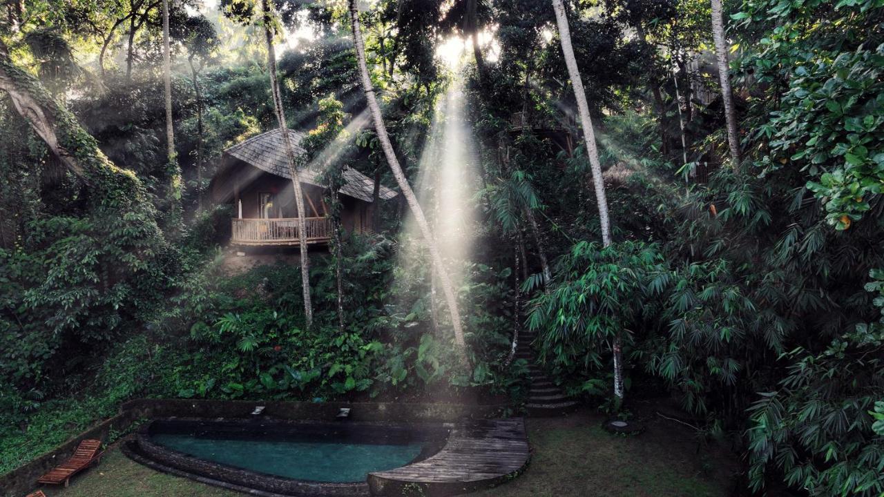 Bamboo Turtles Lodge Ubud
